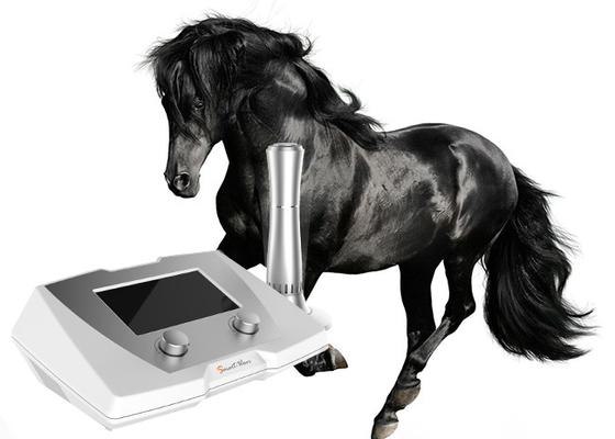 腱の傷害の馬の衝撃波機械/馬の衝撃波療法装置