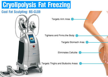 美容院または医院の使用のための4つのハンドルが付いている機械を細くするCryolipolysisの脂肪質の氷結